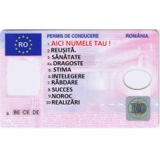 PC1ZSA4 Vafa permis conducere personalizat 30x20cm Poate fi personalizat